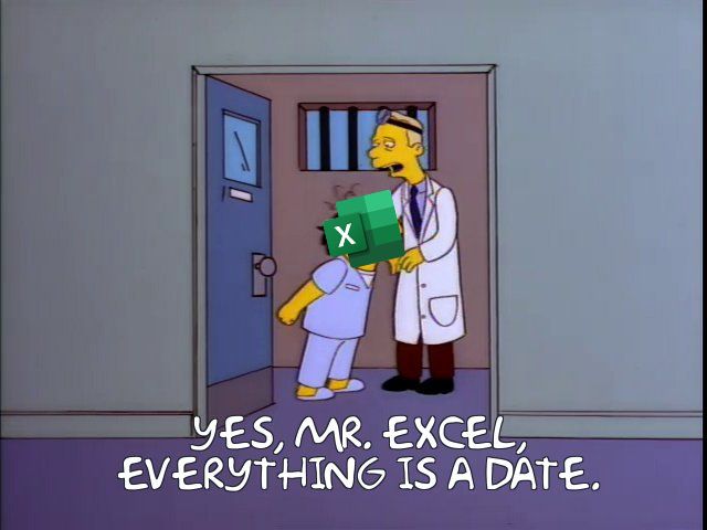 The “Yes Mr Sherman, everything stinks” scene from the Simpsons, but the line is “Yes Mr. Excel, everything is a date”. 
Oh, also I swapped Jay Sherman’s head for the excel logo which I feel is pretty sharp. 
