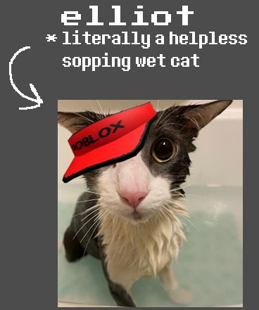 An image of a wet cat in a bathtub with a red Roblox visor hat edited on its head, as a joking representation of Forsaken's Elliot. Above is text reading "elliot" and a bullet point describing him as "literally a helpless sopping wet cat" with an arrow to the left pointing to the cat image.