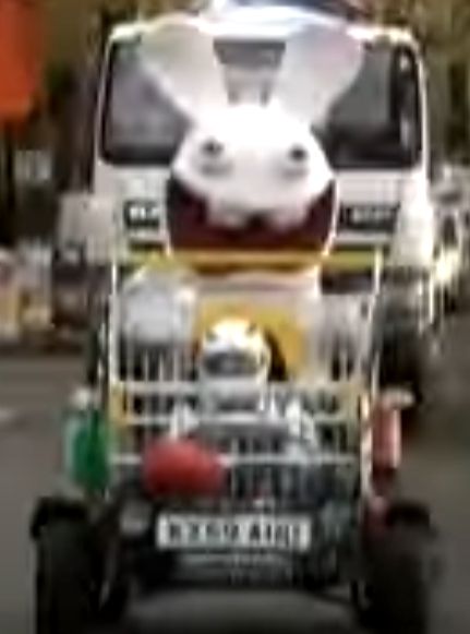 rabbid car