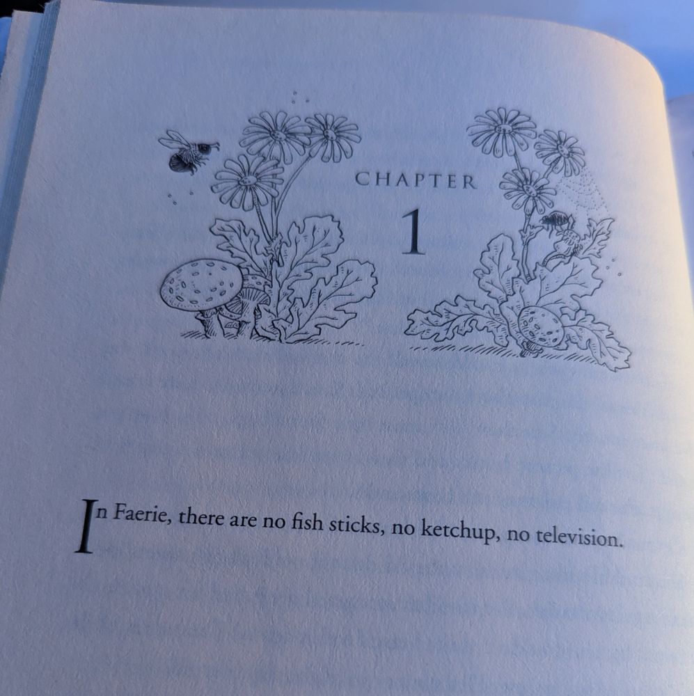 Heading: CHAPTER 1, surrounded by a pattern of dandelions, mushrooms, a bumblebee, and a spiderweb
Text: In Faerie, there are no fish sticks, no ketchup, no television.