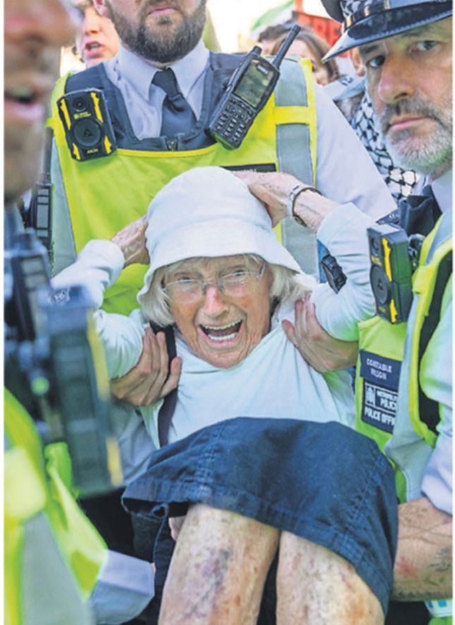 Several Met police officers arrest an 89 year old woman 