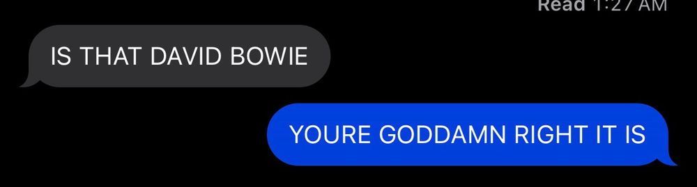 “IS THAT DAVID BOWIE” “YOURE GODDAMN RIGHT IT IS