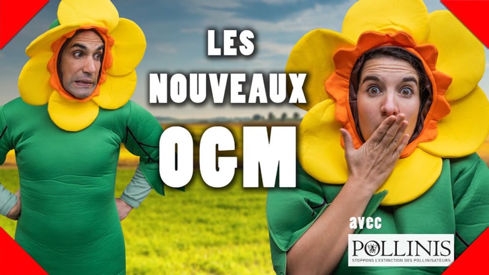NGT : Les nouveaux OGM (avec Pollinis) - AMI DES LOBBIES #26