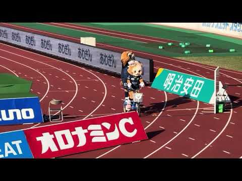 2024明治安田J2リーグ第37節AWAY 鹿児島ユナイテッドFCvs徳島ヴォルティス 駆け抜ける。狸の二人乗り編2024年11月3日 in 鳴門・大塚スポーツパーク ポカリスエットスタジアム