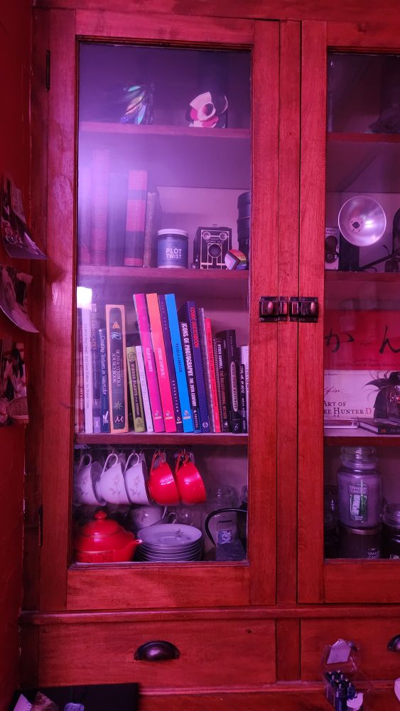 A built-in cabinet, with a group of books that are slanting to the left