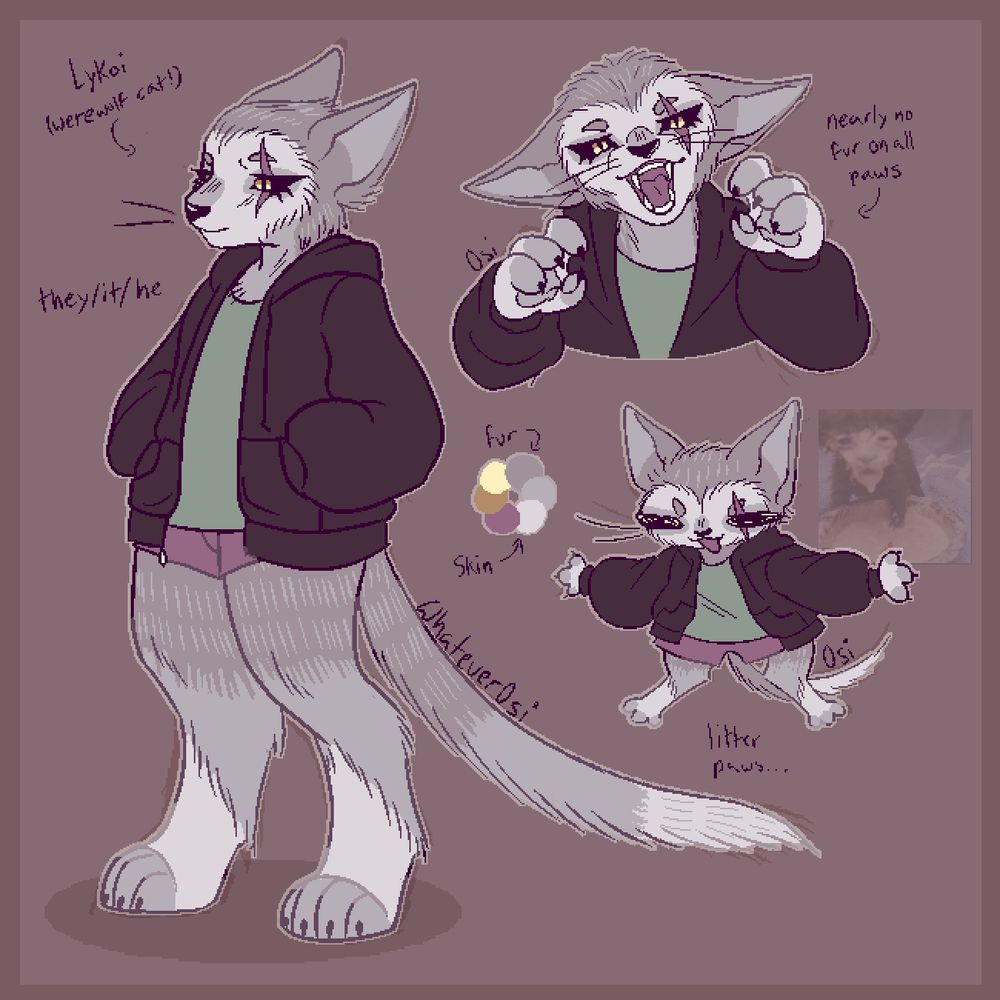 Three illustrations of a cartoon cat character based off the lykoi breed, a cat with thin grey fur and yellow eyes with a werewolf-like appearance. The character has a scar over his left eye and is wearing a big hoodie with a t-shirt and shorts underneath