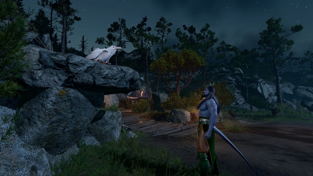 Image 2: Boris observing a white raven, unaware that it's a Wild Shaped Sabre.