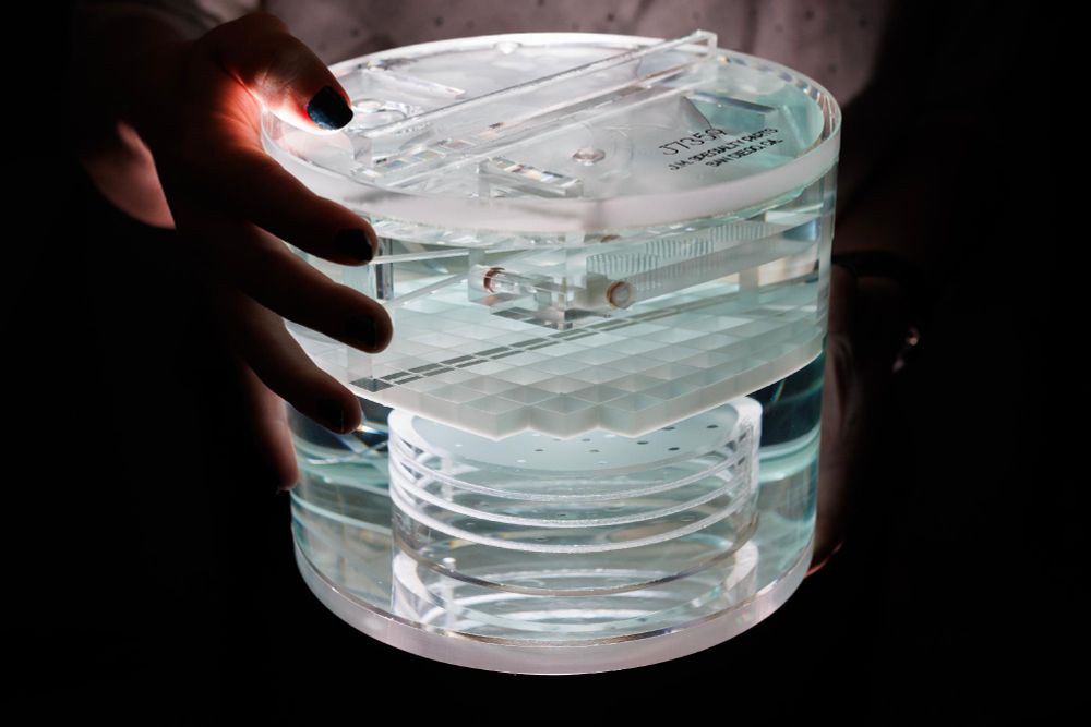 Hands holding a transparent container illuminated by soft light.