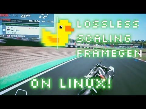 Lossless scaling's Framegen now works on Linux! First look at lsfg-vk!