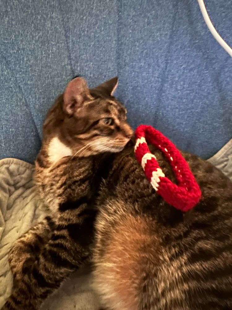 Crochet soft collar for pet in Christmas colors