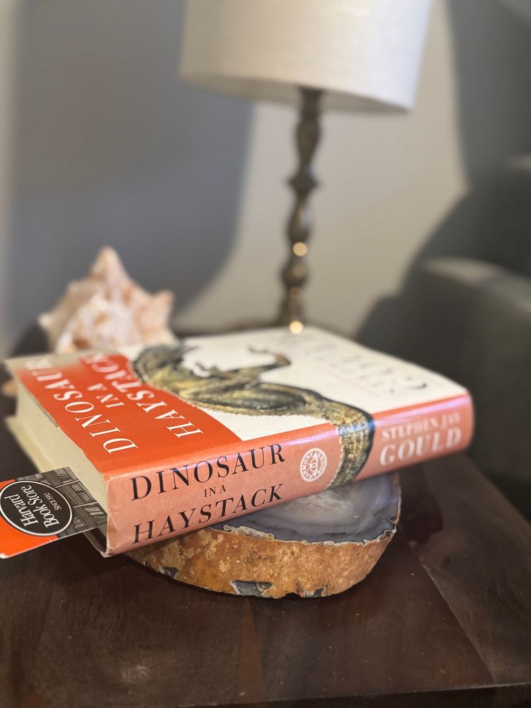 Dinosaur in a Haystack by Stephen Jay Gould