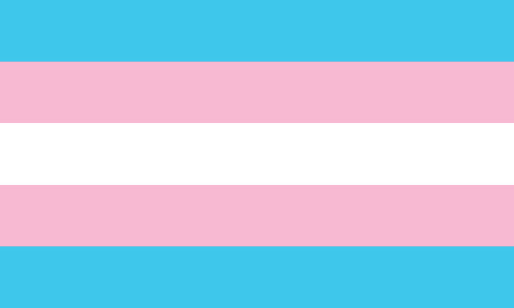 trans flag stripes using the color codes of WoW classes, from top to bottom: Mage (light blue), Paladin (pink), Priest (white), Paladin (pink), Mage (light blue)