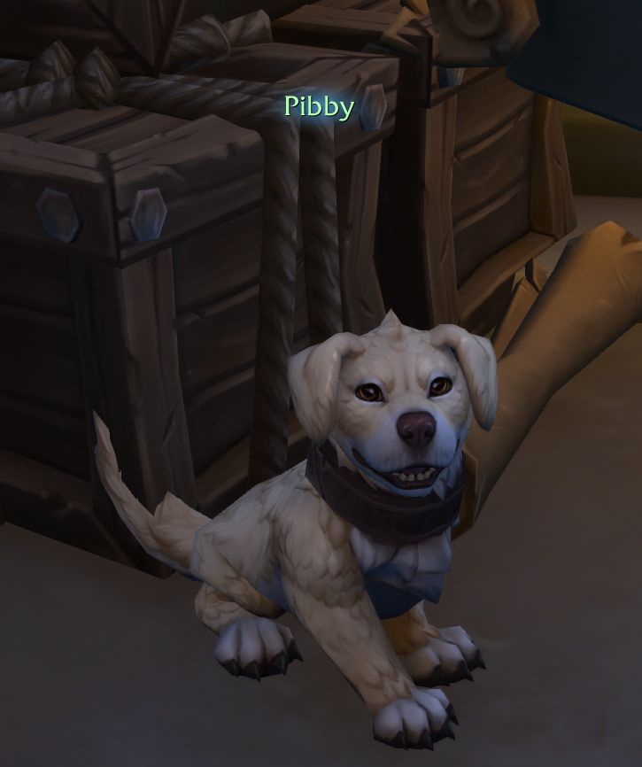 a happy golden labrador dog named Pibby sitting in front of some crates