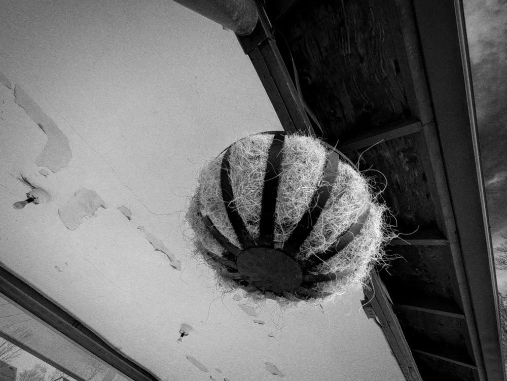 Bottom of straw planter