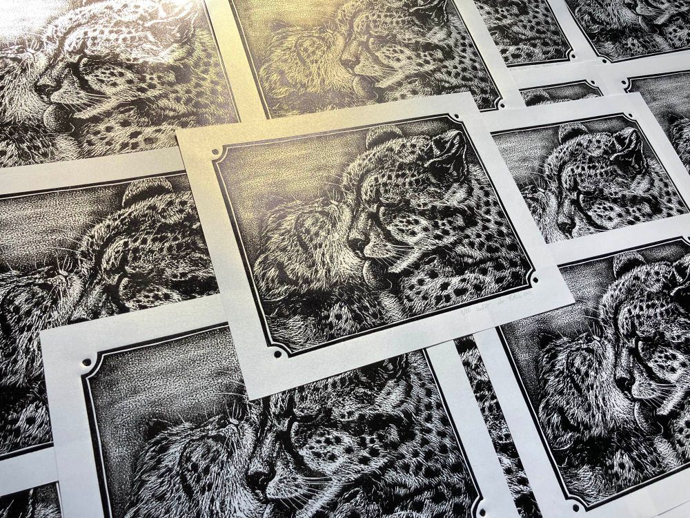 photo of few linocut prints showing same image. black ink on white-golden paper, big cheetah on the right licking a cheetah cub. 