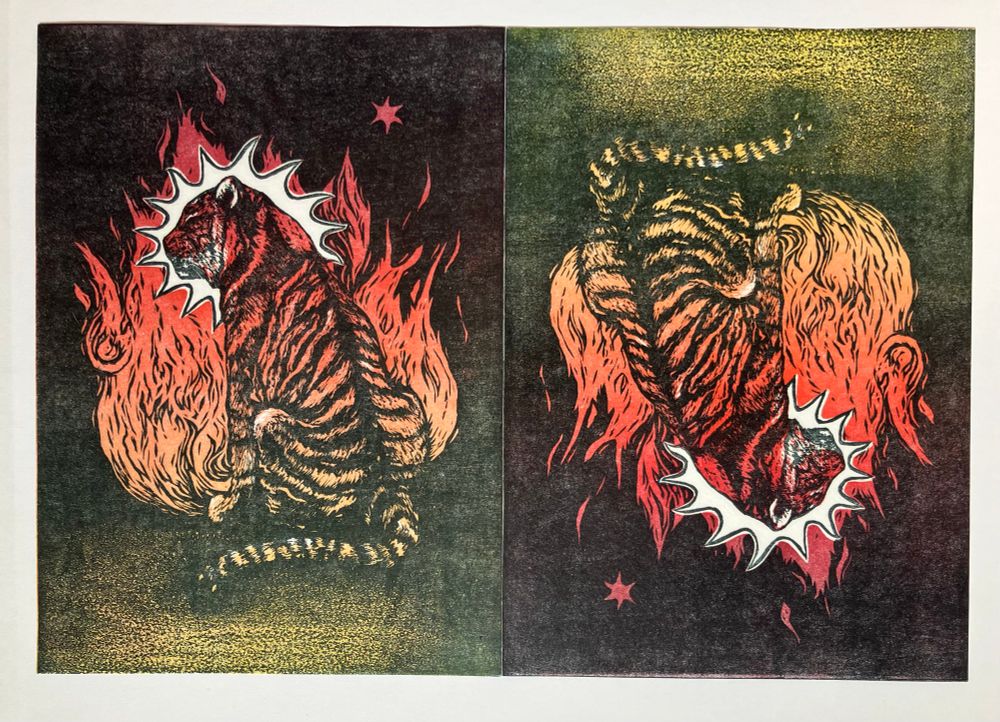 two prints next to each other on white background 