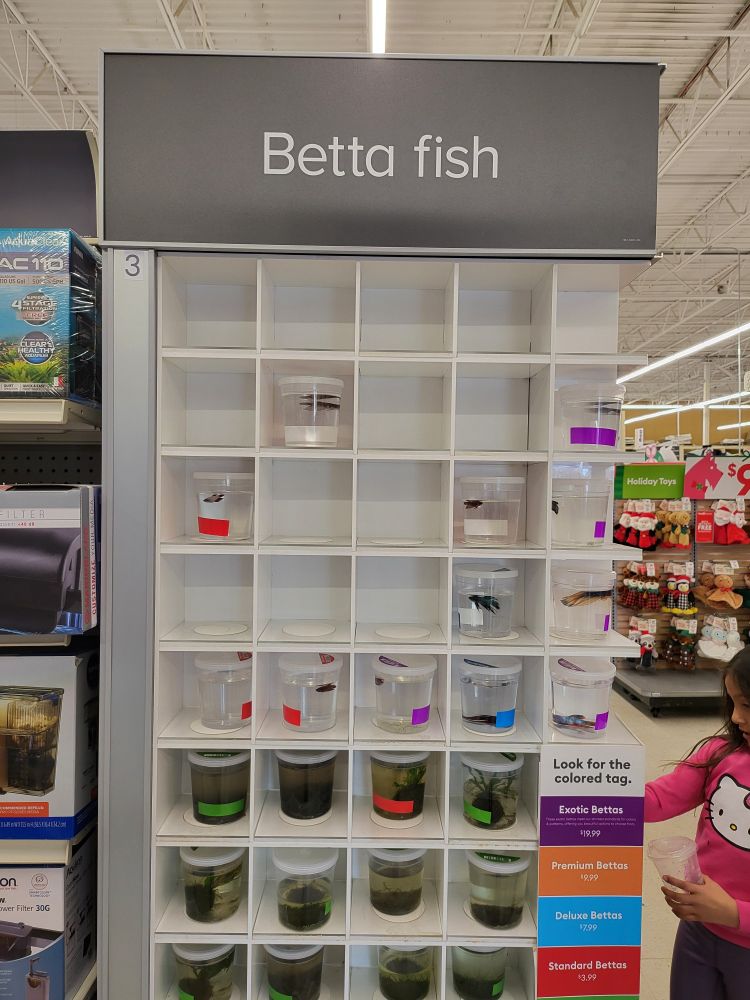sign in pet store that says "Betta Fish"