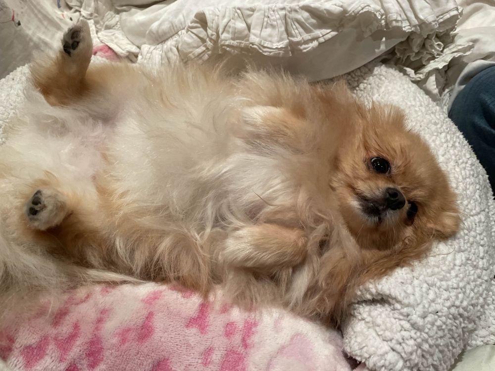 Her harness is off and she's stretched outward a little more as she stares upwards