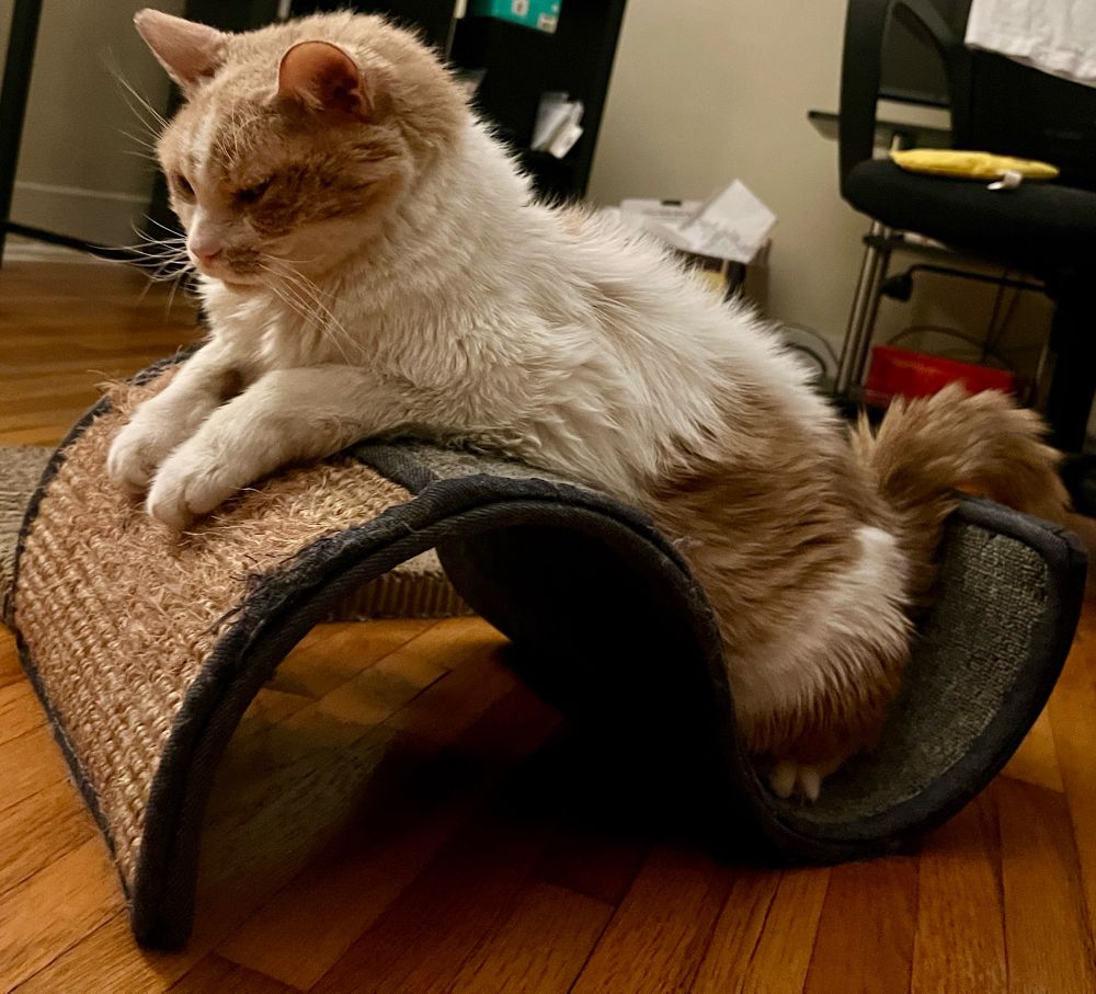 A white and tan cat is lying on top of a wicker scratcher and is side eyeing the camera. 
