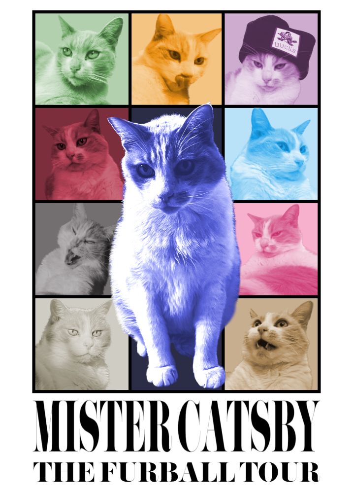 A collage of images with the same cat in the style of the Taylor Swift Eras Tour poster. Text at the bottom reads “Mister Catsby The Furball Tour.”