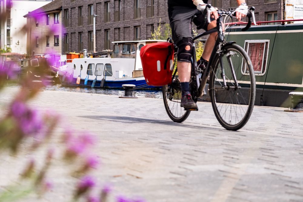 A cyclist heading along the newly resurfaced canal towpath in Edinburgh's Fountainbridge. Purple flowers are in the foreground.
