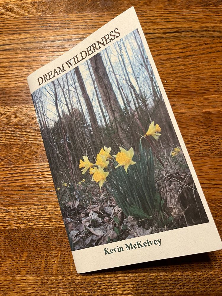 Book cover, photo is daffodils growing in the woods, which is a signal that a house once stood there.