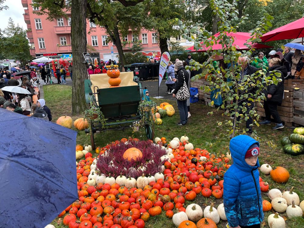 Pumpkin display at the festival 