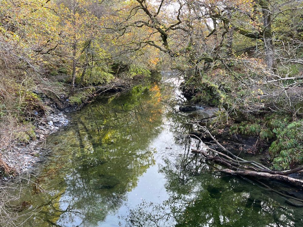 Stream around Luss with trees, some foliage and reflections in water. 