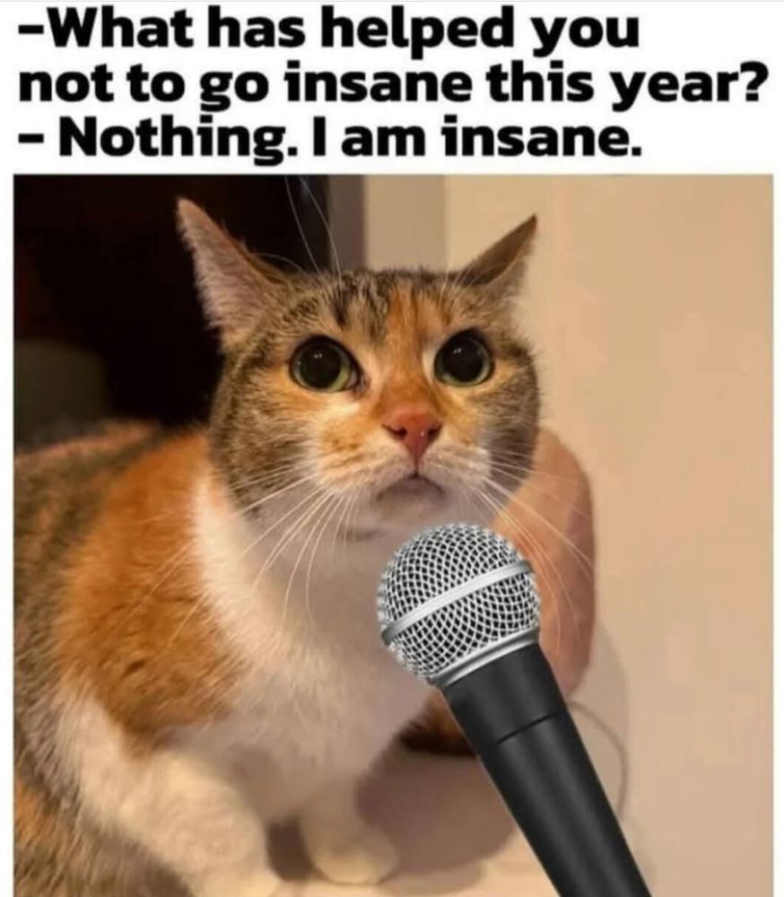 A microphone placed near a cat's mouth.
"What has helped you not to go insane this year?"
"Nothing. I am insane."