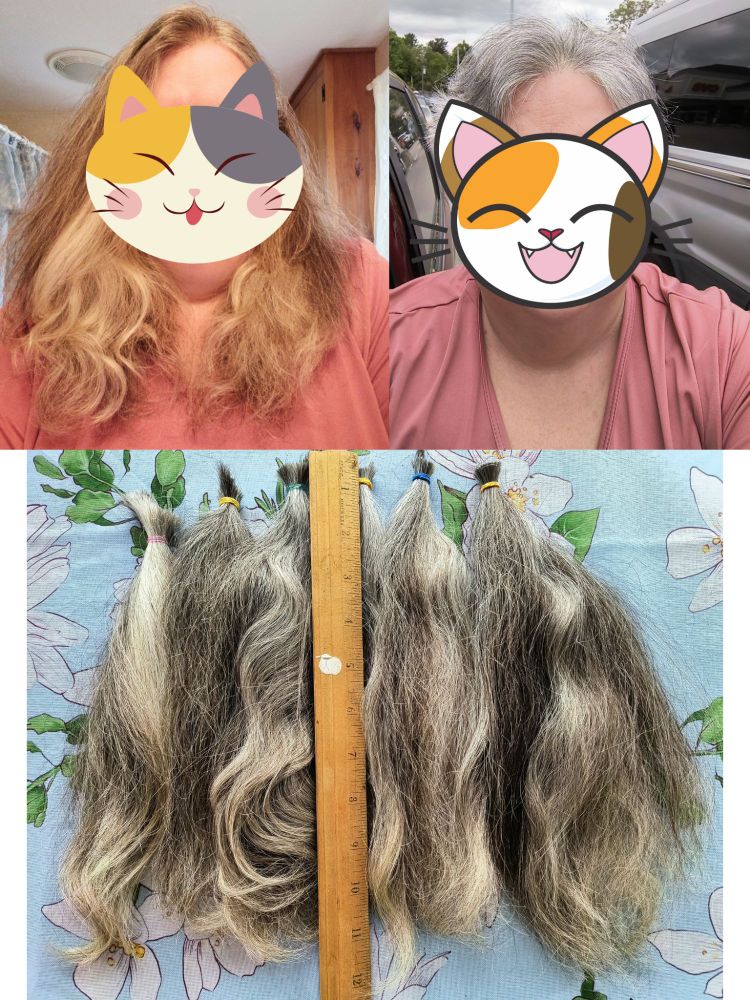 Gray hair cut woman with long and short gray hair