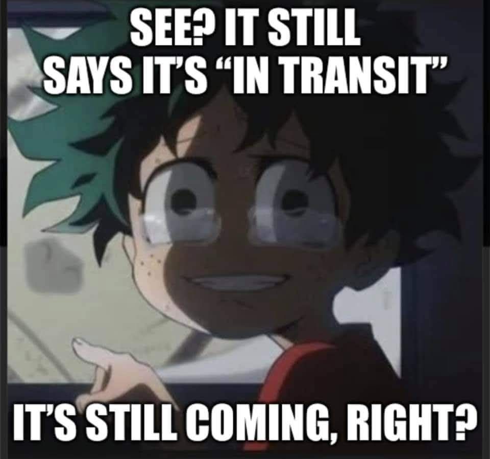 5 year old Midori from My Hero Acedemia, pointing at a screen with tears in his eyes.
Caption states in all caps: See? It still says it's "in transit"
It's still coming, right?