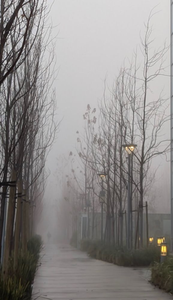 A footpath shrouded in fog