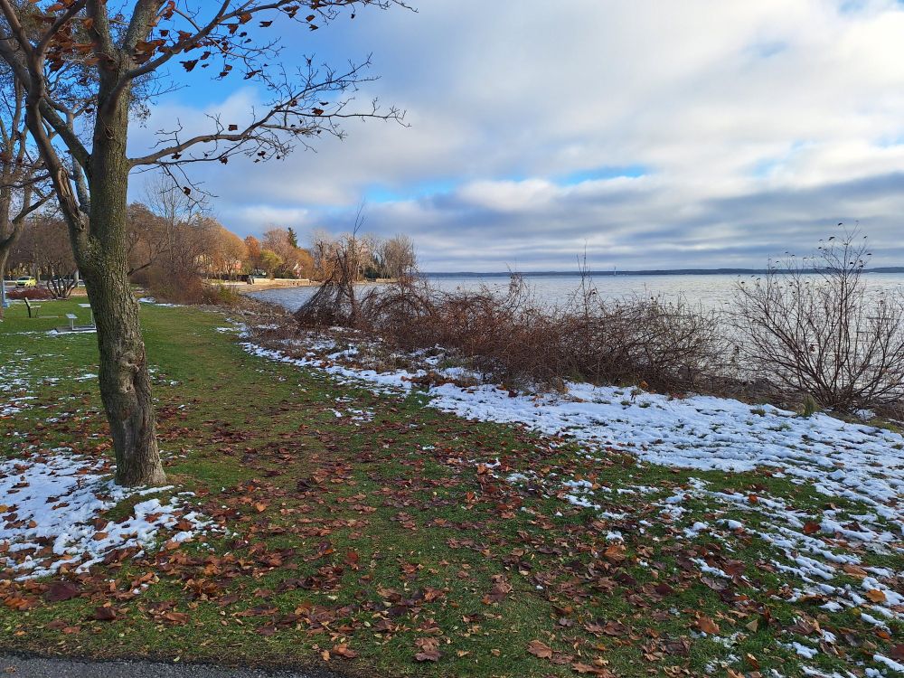 Color picture of a lake shore partially covered in snow with some grass still showing, withered bushes and cloudy sky.