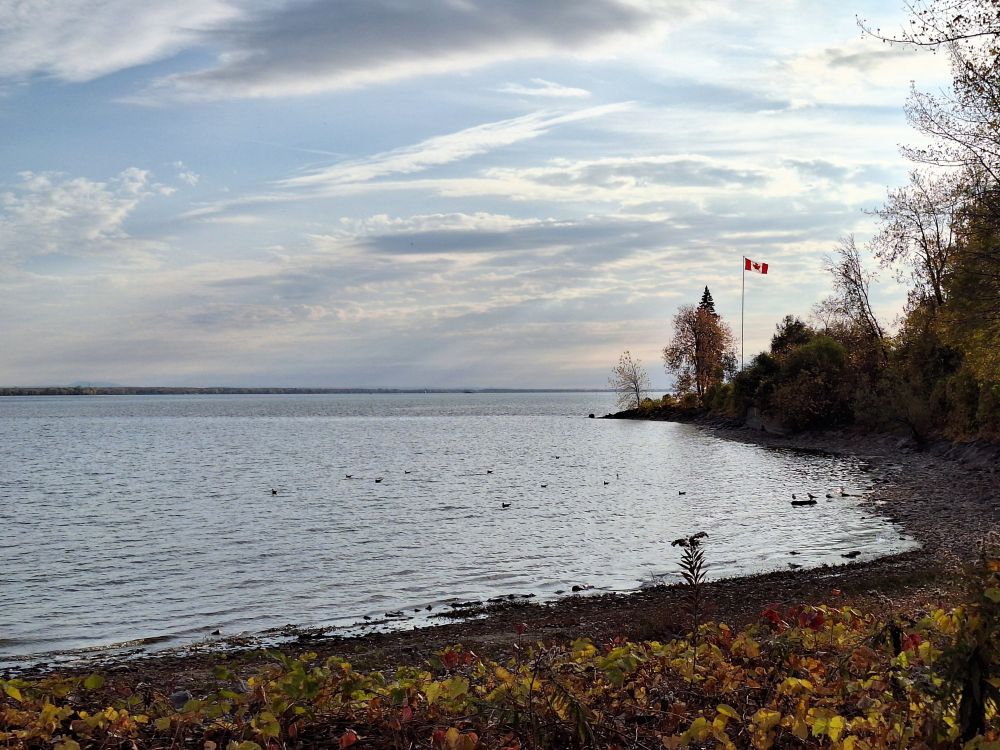 Color picture of a lake shore covered in dry yellow bushes and trees, with a Canadian flag flying high on a pole at the tip of a land point. The sky has white clouds streaking through, and you can see sun rays through them.