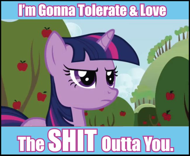 An image macro of an angry Twilight Sparkle (unicorn, so the only correct form) with the caption "I'm Gonna Tolerate & Love / The SHIT Outta You."