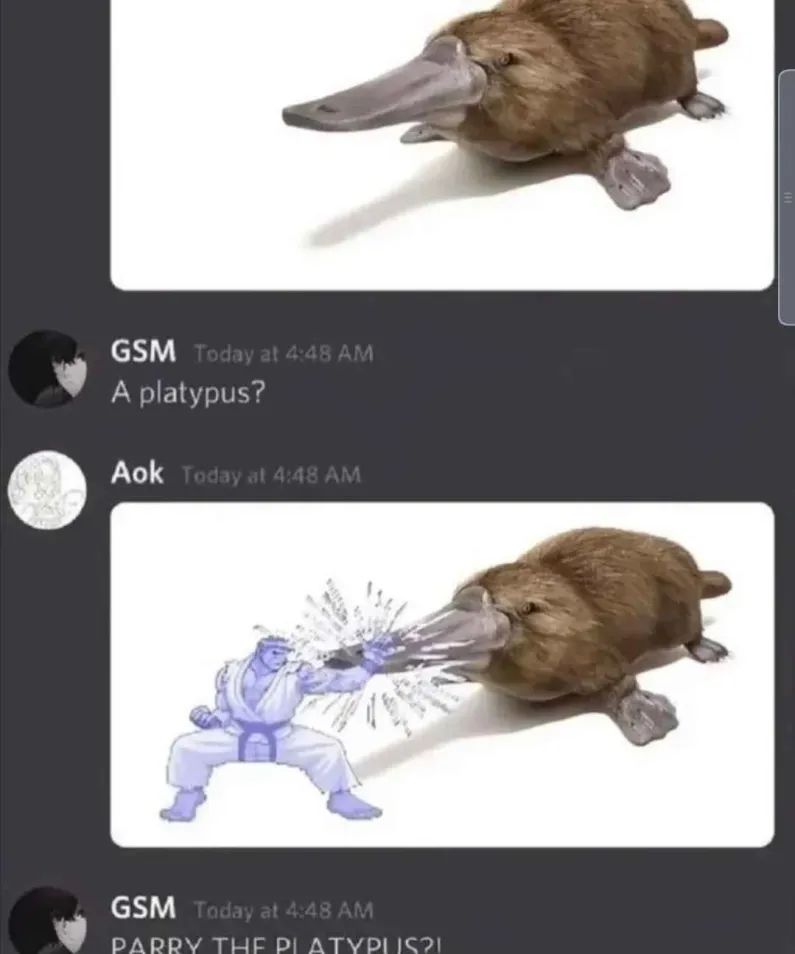 A platypus, the platypus is then carried by Ryu from Street Fighter 3, becoming parry the platypus