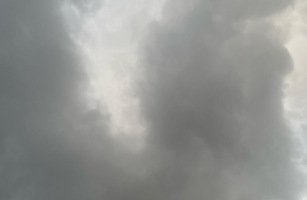 looking up at a thick, low blanket of bright gray clouds clouds at sunset, during a brief respite from a rainstorm.