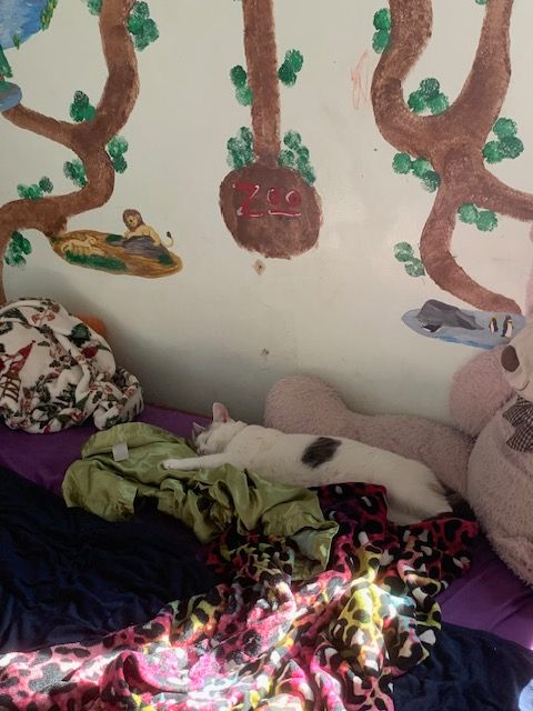 Cat laying on green shiny blanket on bed next to a beige wall with a zoo painting on it