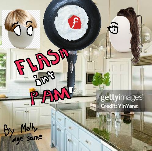 A recreation of the Flash In The Pan logo with stock images! Tom and Alex are eggs with hair and drawn-on eyes; the logo is a frying pan with fried egg in the middle. The background is a gettyimages-watermarked photo of someone's kitchen. The logo is rewritten 'FLASH int PAM'. It is signed 'By Molly age some'. It is beautiful.