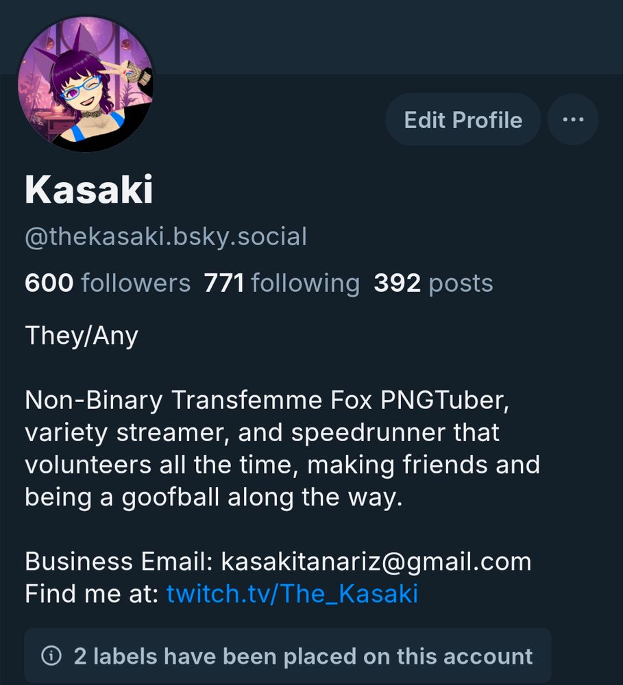 An image of Kasaki's bsky profile showing their follower count hitting 600