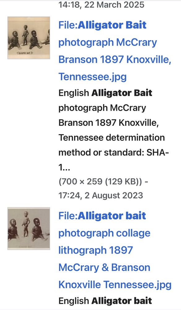 Citation for a photograph of a group of young black babies looking upset it’s called alligator bait 1897