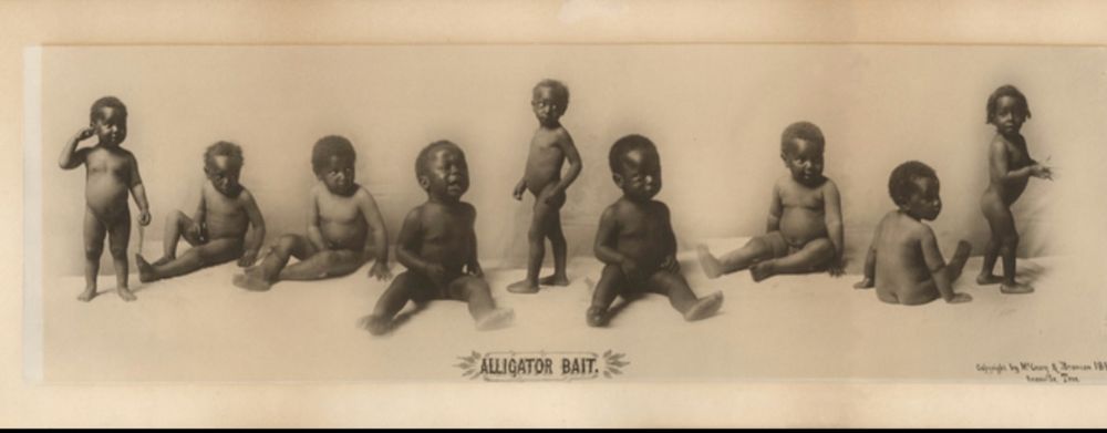 1897 photo from Knoxville, Tennessee a naked black babies who look upset, entitled, alligator bait