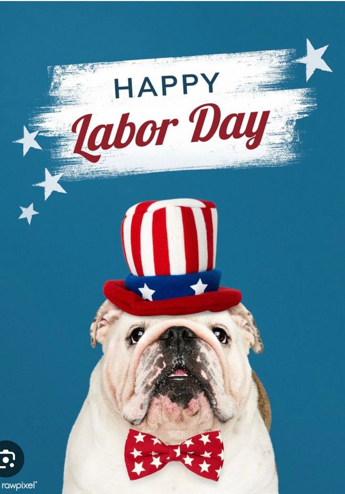 Photo of a white English bulldog with a red white and blue top hat, red polkadot bow tie Happy Labor Day