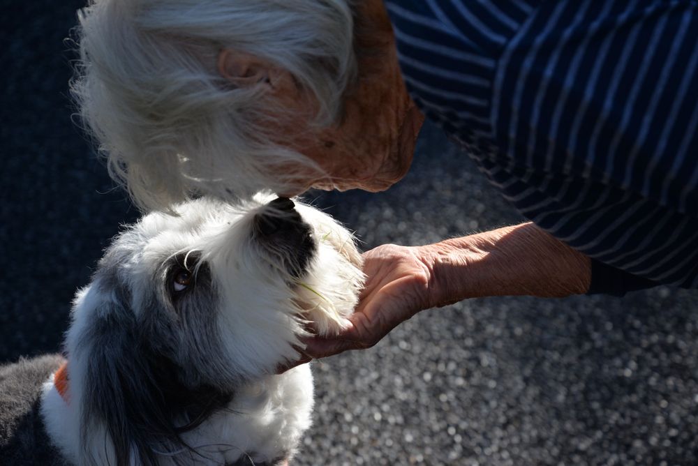 Mom mom, age 87, leaning over to touch noses with my dog Popeye.