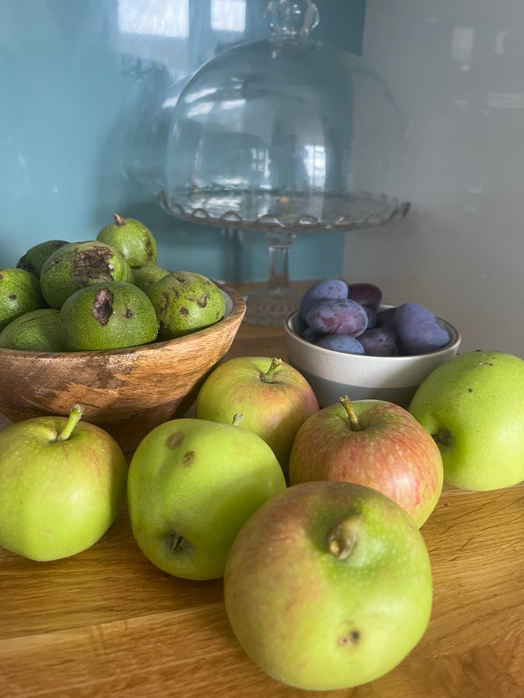 Apples, plums and walnuts 