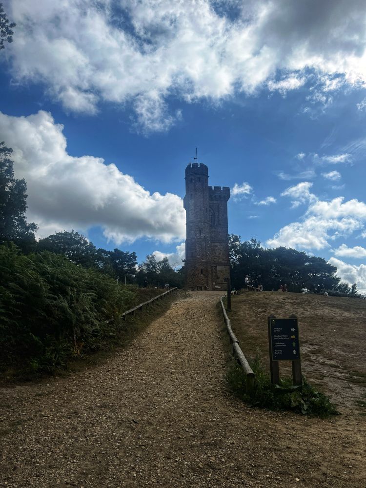 Leith Tower at the top of Leith Hill. 
