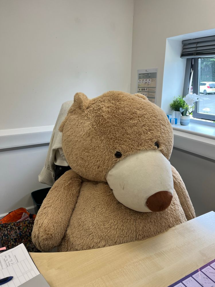 A very large teddy in my office chair! 