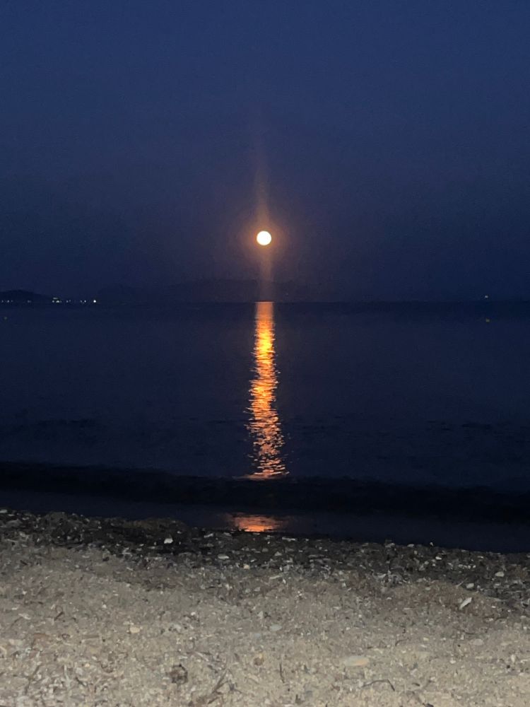 A sandy beach with the full moon central and reflecting in the dark water. 