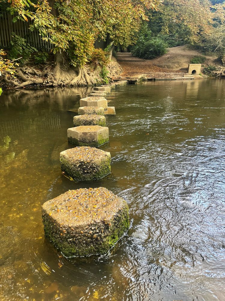 Box Hill stepping stones 
