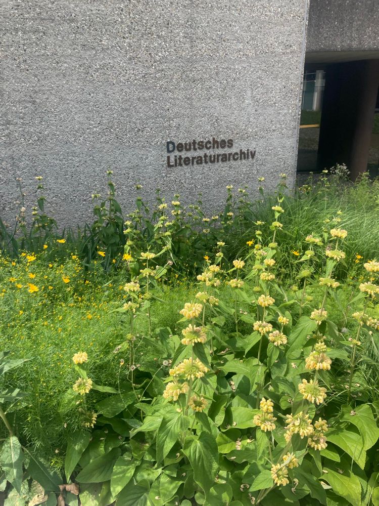 Gebäude des DLA mit Wiese